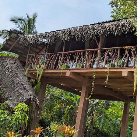 Sigiriya Rock View Tree House Villa ภายนอก รูปภาพ