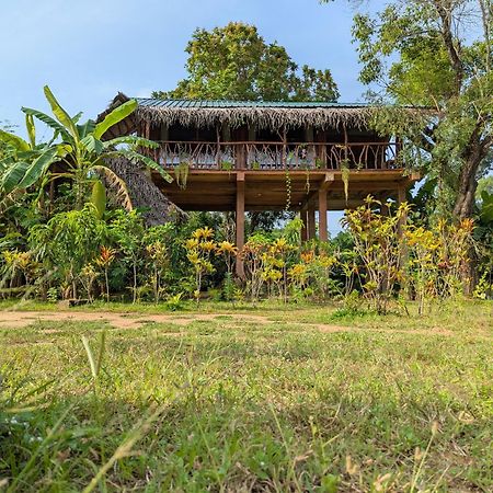 Sigiriya Rock View Tree House Villa ภายนอก รูปภาพ