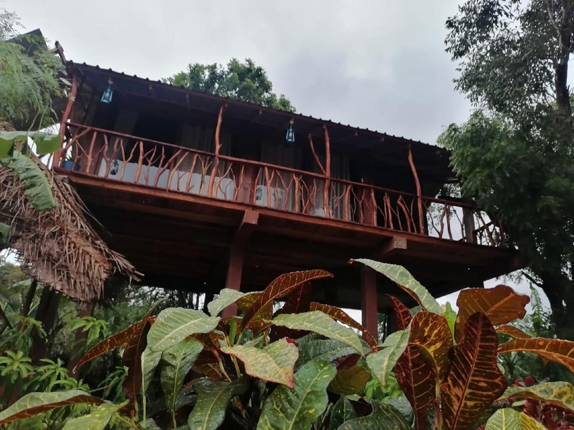Sigiriya Rock View Tree House Villa ภายนอก รูปภาพ