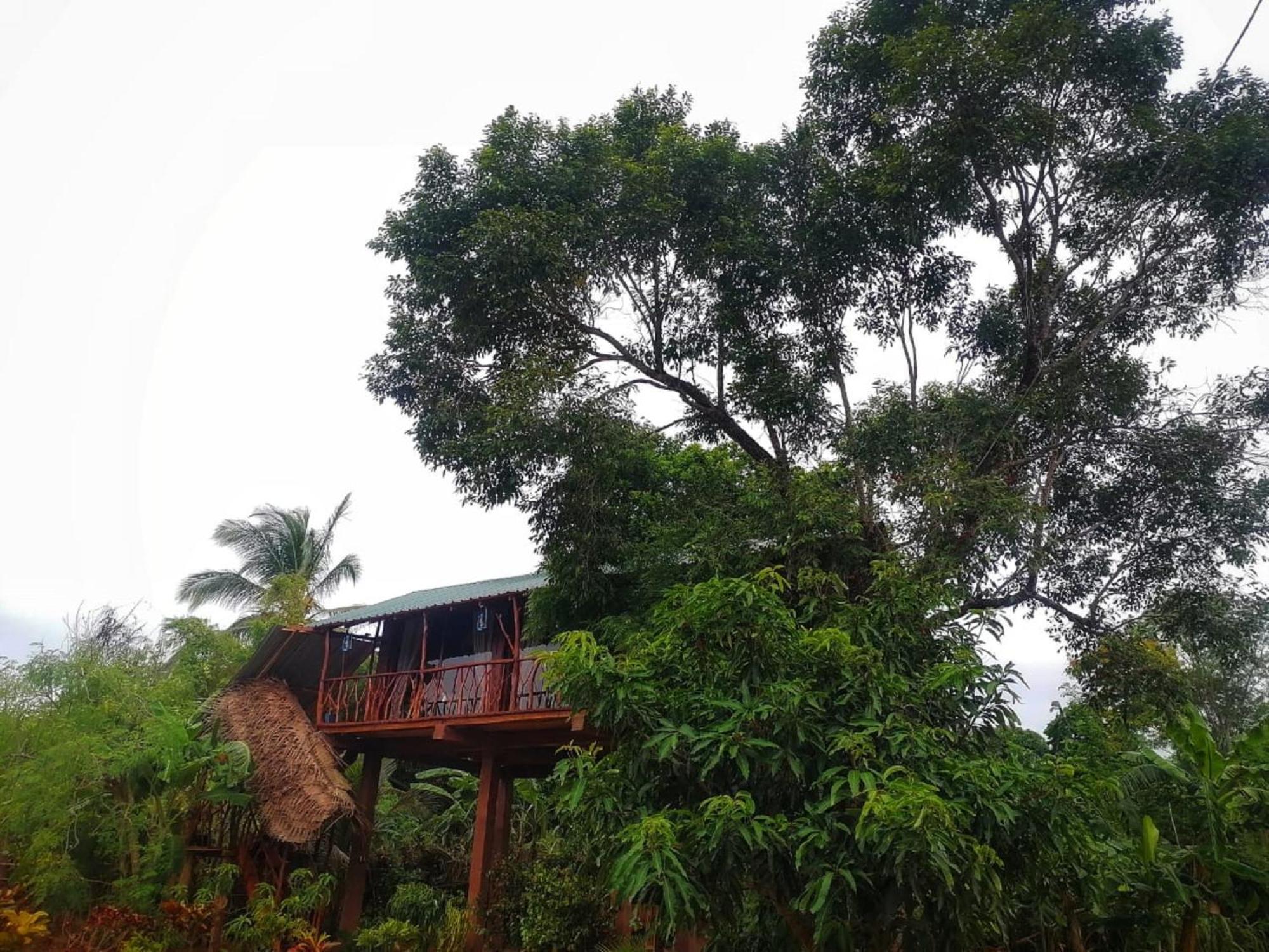 Sigiriya Rock View Tree House Villa ภายนอก รูปภาพ