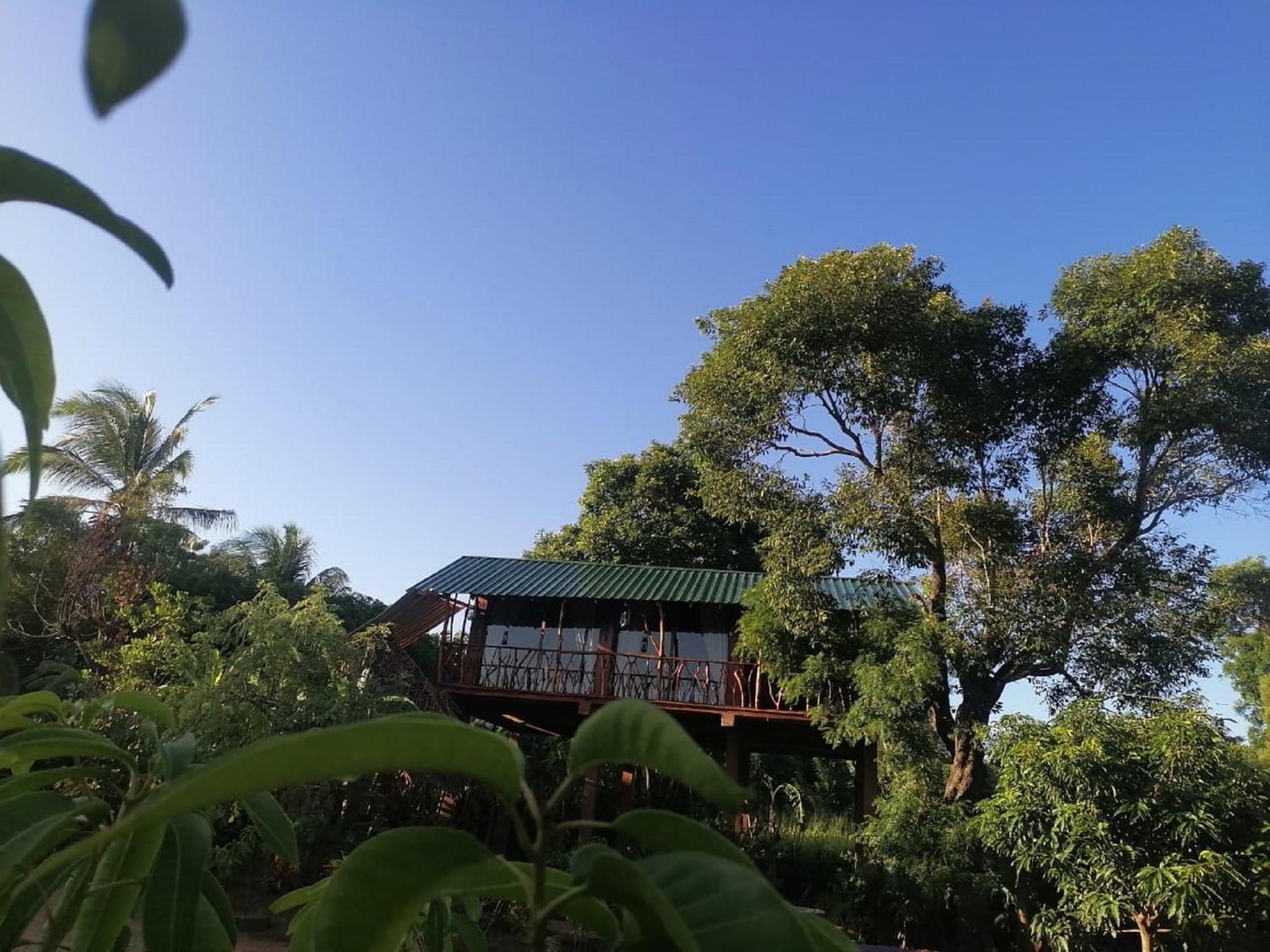 Sigiriya Rock View Tree House Villa ภายนอก รูปภาพ