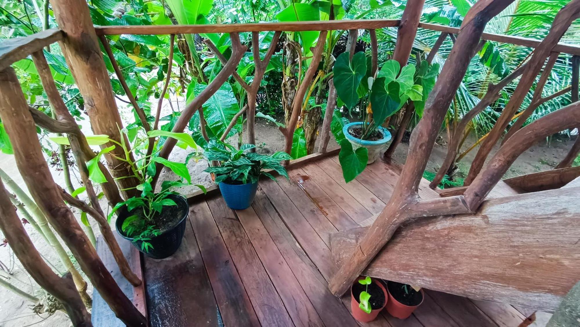 Sigiriya Rock View Tree House Villa ภายนอก รูปภาพ