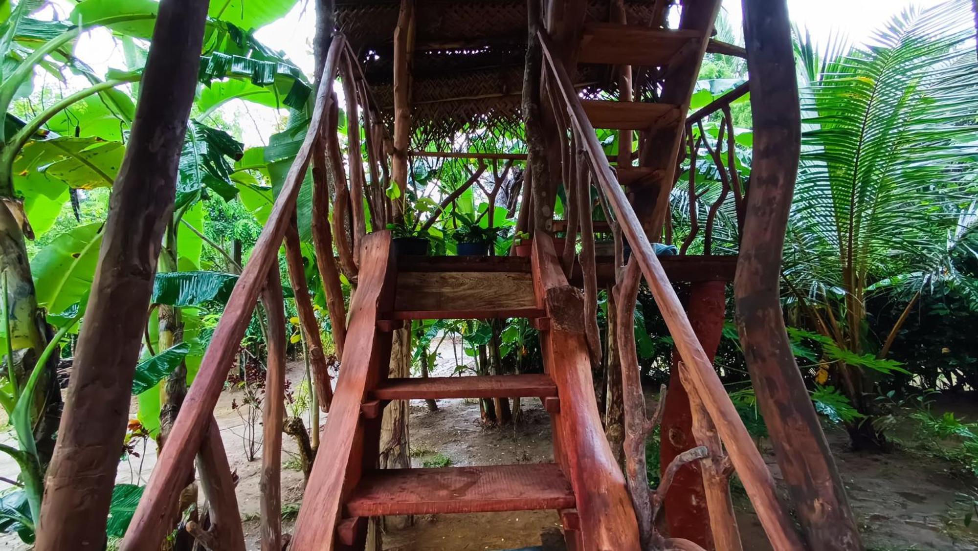 Sigiriya Rock View Tree House Villa ภายนอก รูปภาพ
