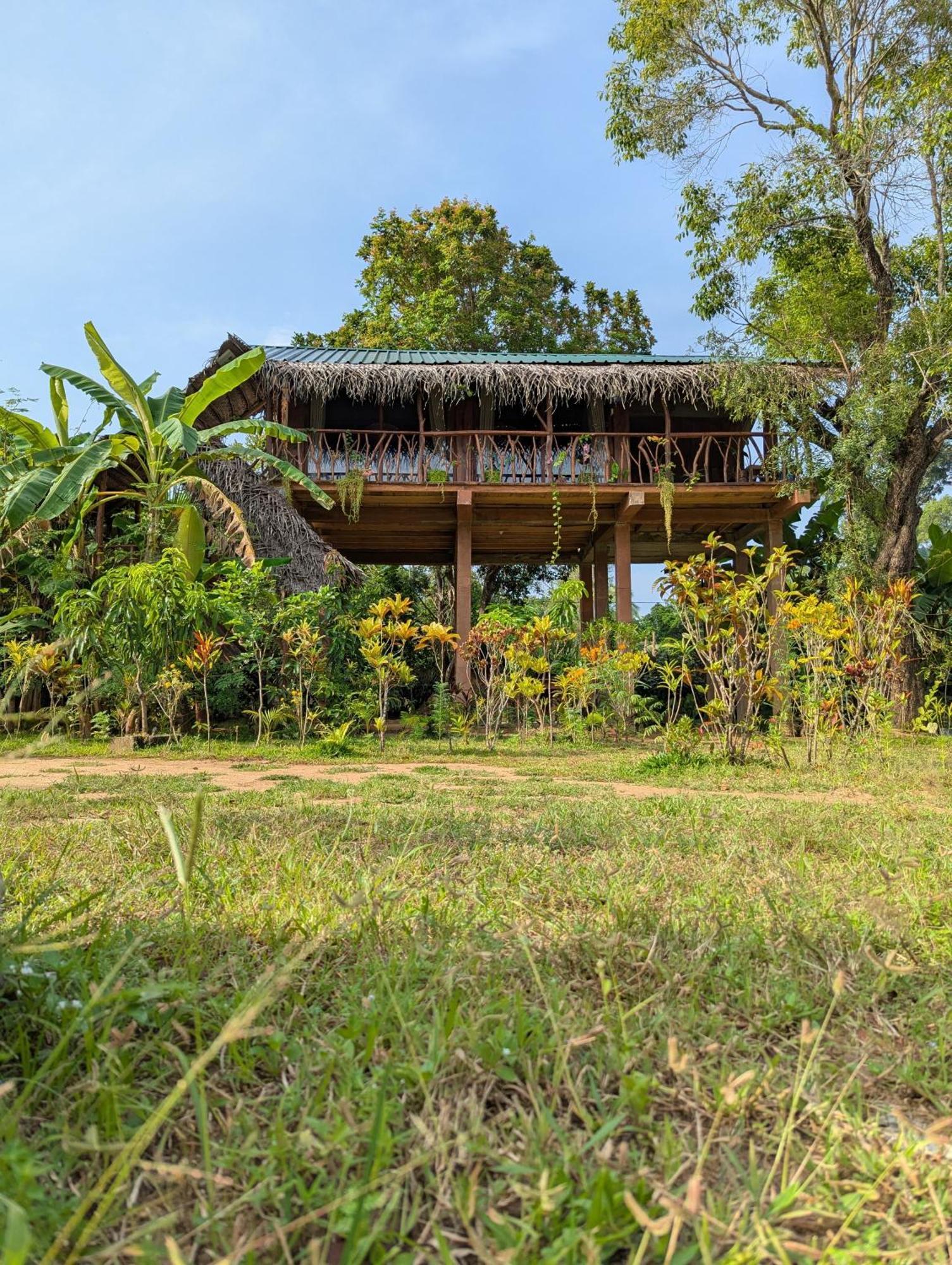 Sigiriya Rock View Tree House Villa ภายนอก รูปภาพ